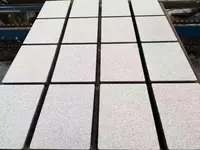 200x200芝麻白透水砖
